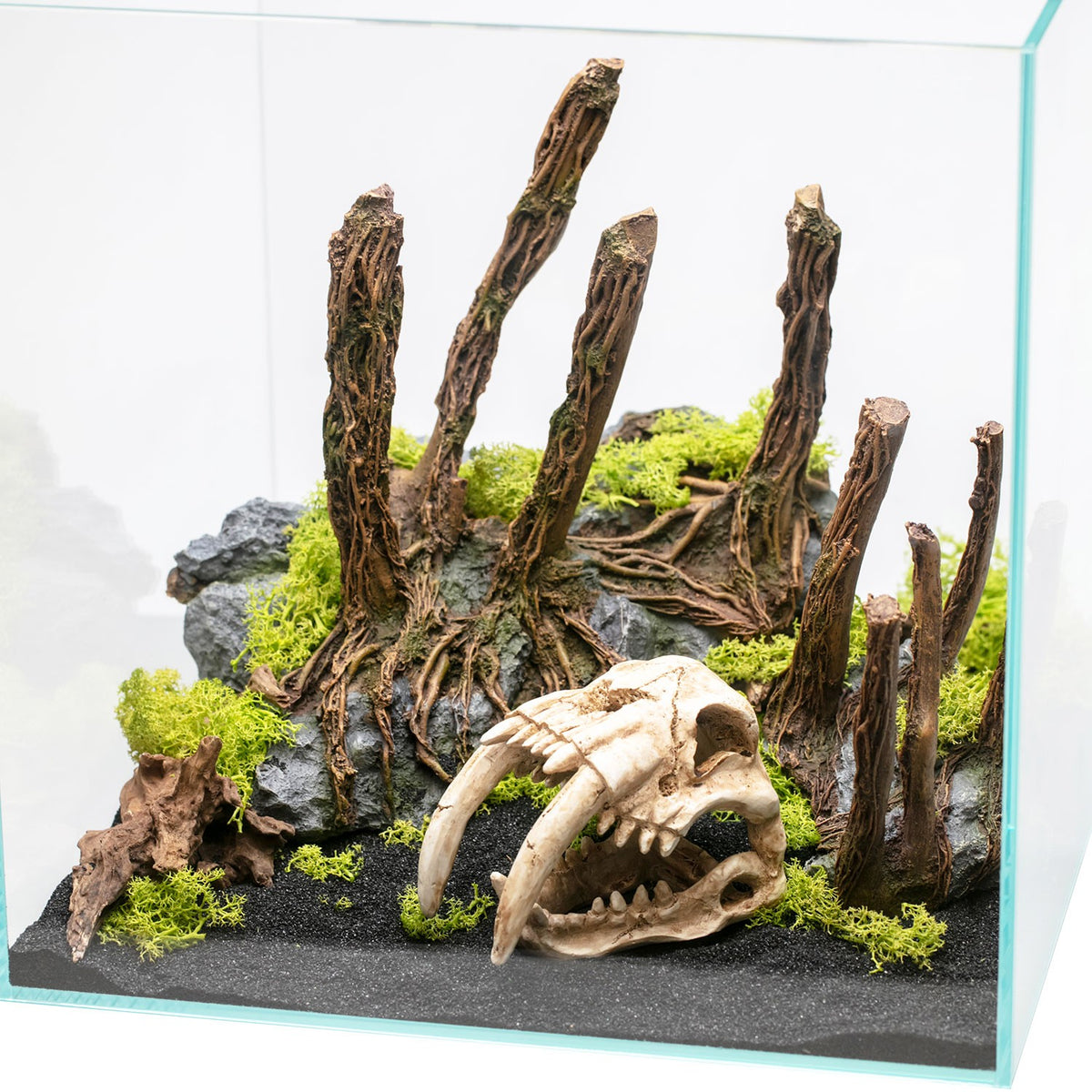 Aqpet Decorart Decorazioni Per Acquari Mod. Fossil Skull