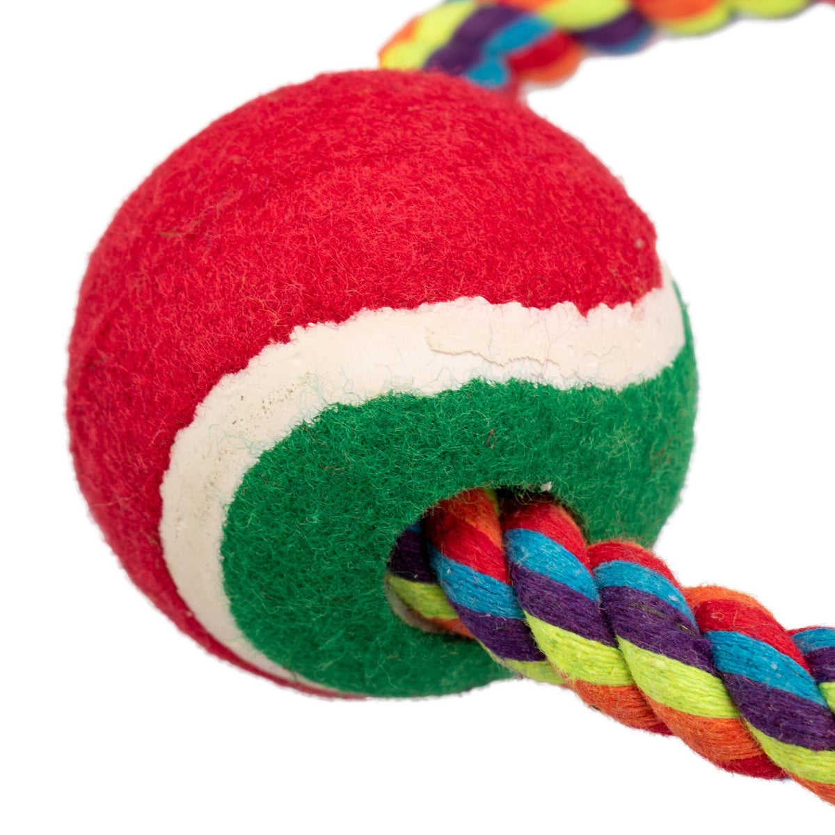 AqpetFriends Giochi Per Cani Smarty Ring In Corda Con Pallina