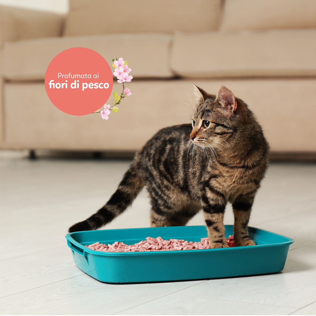 AqpetFriends Catty Green Lettiera Naturale per Gatti Alla Soia Fragranza Alla Pesca 6 L