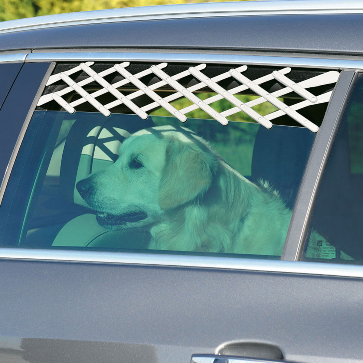 Zolux Griglia di Sicurezza Auto Finestrino per Cani
