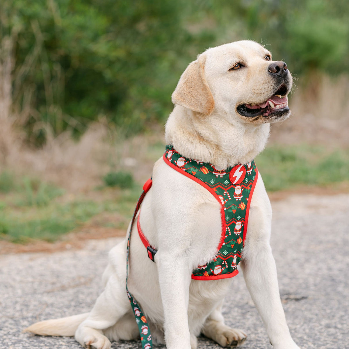 Dashi Noel Neo Mesh Pettorina Reversibile Natalizia Per Cani