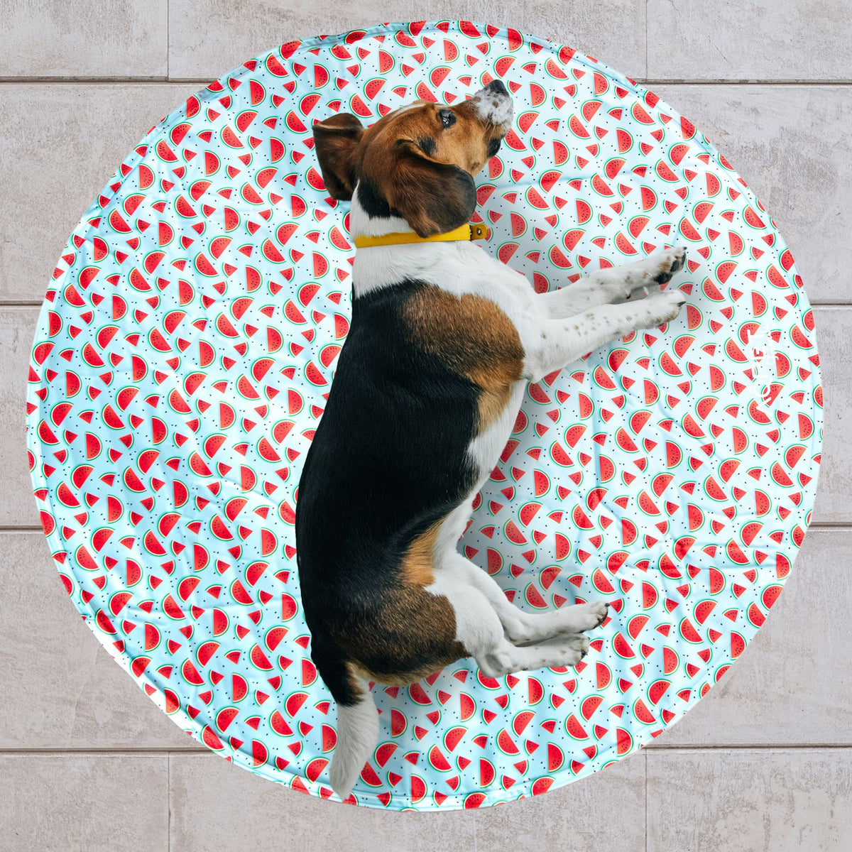 AqpetFriends Fresh Round Mat Fruit Tappetino Refrigerante Tondo Per Cani e Gatti 60cm