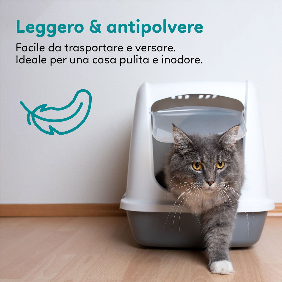 AqpetFriends Catty Lettiera In Silicio per Gatti - Profumazione Talco - 5 L