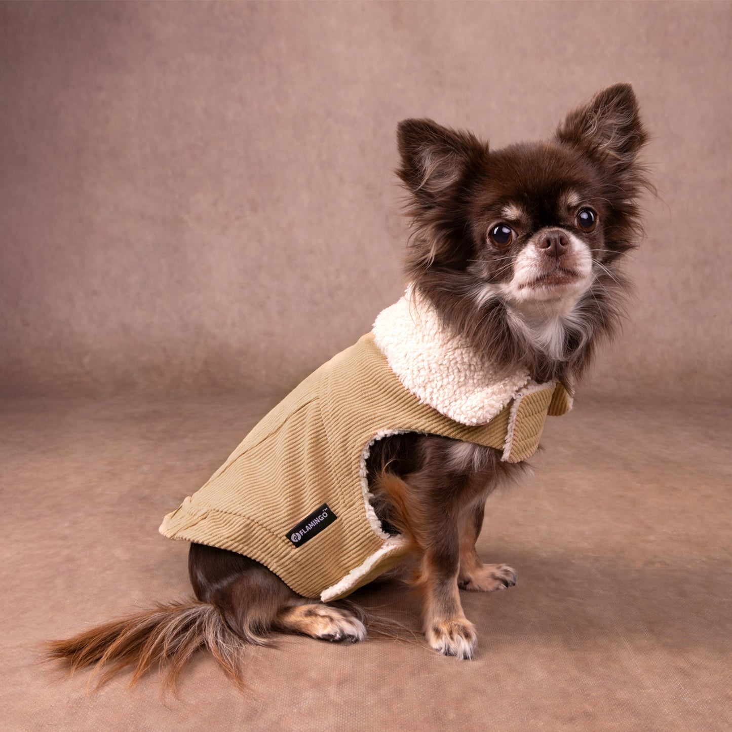 Flamingo Cappotto per cane Endor Beige diverse taglie