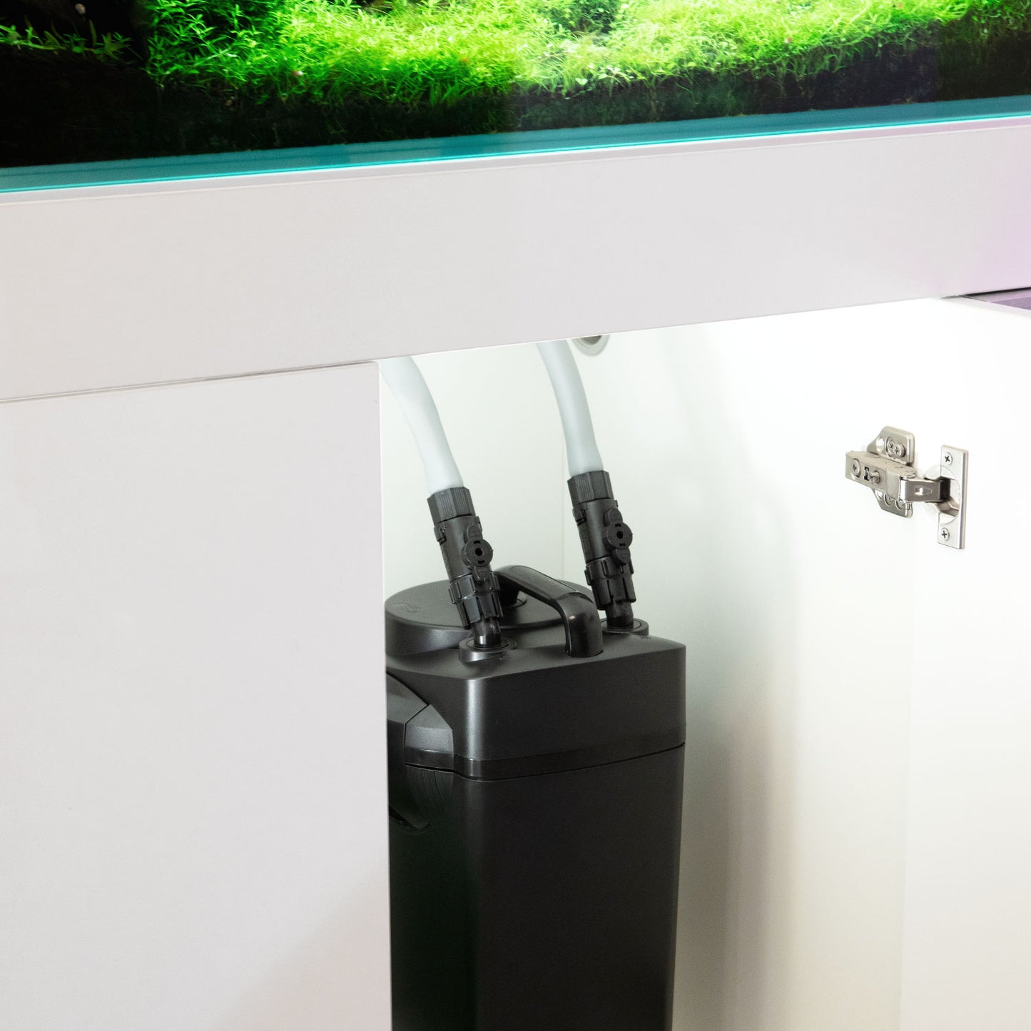 Aqpet filtro esterno Halo per acquario d'acqua dolce e marino