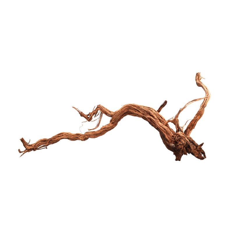 Aqpet Zen Wood Azalea Dragon Legno Naturale Per Arredo In Acquario