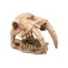 Aqpet Decorart Decorazioni Per Acquari Mod. Fossil Skull