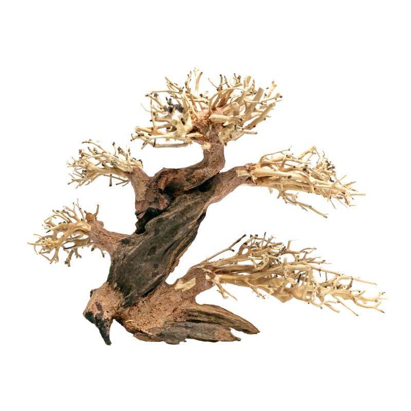 Aqpet Zen Bonsai Pine Legno Naturale Per Arredo In Acquario - Webpet