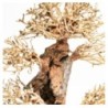 Aqpet Zen Bonsai Pine Legno Naturale Per Arredo In Acquario