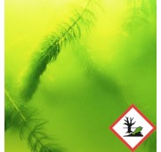 JBL AlgoPond Green Antialghe Filamentose Per Laghetto Da Giardino