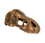 Exoterra T-Rex Skull Nascondiglio Fossile Dinosauro per Rettili Terrari Small