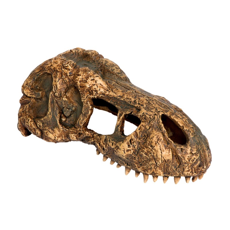 Exoterra T-Rex Skull Nascondiglio Fossile Dinosauro per Rettili Terrari Small