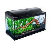 Tetra Acquario in Vetro Starter Line 105 Litri Completo di Luce e Filtro e Riscaldatore per Pesci Tropicali