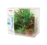 Zolux PlantKit Jalaya Modello 2 Set 6 pz Piante Artificiali Decorative per Acquari