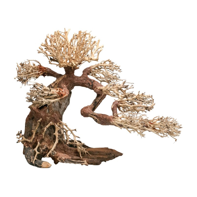 Aqpet Zen Bonsai Wood XLarge Legno Naturale Per Arredo In Acquario