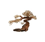 Aqpet Zen Bonsai Claw Legno Naturale Per Arredo In Acquario