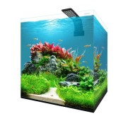 Aqpet Fresh Box 30 Acquario Dolce Completo