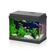 Aqpet Simply LED 30 Set Acquario Acqua Dolce Completo Di Luce LED E Filtro 30L