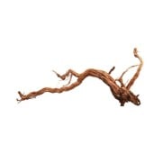 Aqpet Zen Wood Azalea Dragon Legno Naturale Per Arredo In Acquario