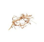 Aqpet Zen Wood Tiny Legno Naturale Per Arredo In Acquario