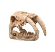 Aqpet Decorart Decorazioni Per Acquari Mod. Fossil Skull