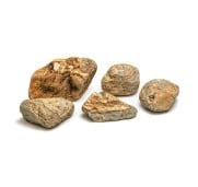 Aqpet Zen Stone Howloon Roccia Naturale Per Arredo In Acquario