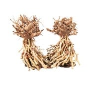 Aqpet Zen Bonsai Dancing Legno Naturale Per Arredo In Acquario