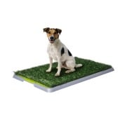 AqpetFriends DogLitter Lettiera Tappetino Con Erba Sintetica