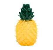 AqpetFriends Giochi Per Cani Cool It Refrigerante Ananas