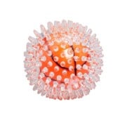 AqpetFriends Giochi Per Cani Dental Palla Sport Di Gomma Con Effetto Sonoro