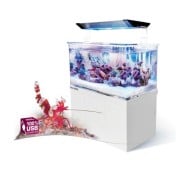 AquaMedic Armatus XS Micro Acquario All-in-One Con Filtro E Supporto