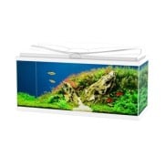 Askoll Ciao Aqua 80 Led Acquario In Vetro Completo 80x30x41,5h cm
