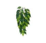 Exoterra Jungle Plants Ficus Decorativo Piante Sospese Fico per Terrari