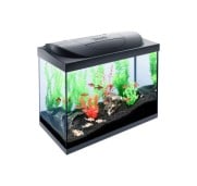 Tetra Acquario in Vetro Starter Line 80 Litri Completo di Luce e Filtro e Riscaldatore per Pesci Tropicali