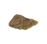 Exoterra Turtle Banks Isola Galleggiante Magnetica Decorativo per Tartarughe