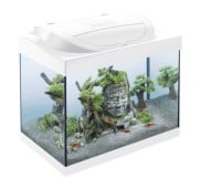 Tetra Acquario in Vetro Starter Line 30 Litri Completo di Luce e Filtro Colore Bianco
