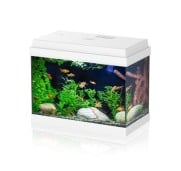 Aqpet Simply LED 30 Acquario Completo Con Illuminazione Led, Filtro E Cover Apribile Colore Bianco 30L