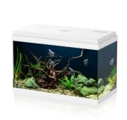 Aqpet Simply LED 60 Acquario Completo Con Illuminazione Led, Filtro e Riscaldatore Colore Bianco 60L
