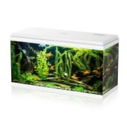 Aqpet Simply LED 100 Acquario Completo Di Doppia Luce LED, Filtro E Riscaldatore Colore Bianco 100L