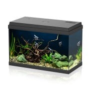 Aqpet Simply LED 60 Set Acquario Acqua Dolce Completo Di Luce LED, Filtro E Riscaldatore 60L