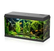 Aqpet Simply LED 100 Set Acquario Acqua Dolce Completo Di Doppia Luce LED, Filtro E Riscaldatore 100L