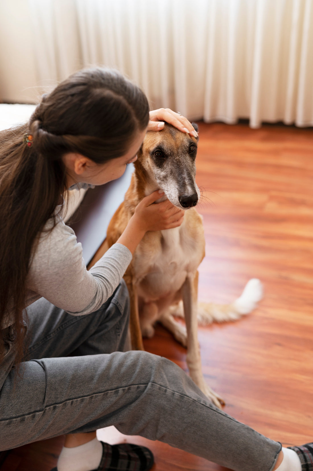 Antiparassitari per cani: guida completa contro pulci e zecche in primavera