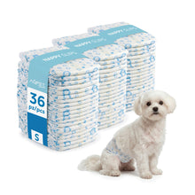 AqpetFriends Nappy Slips Pannolini Assorbenti a Fascia per Cani Maschi 36 Pz
