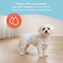 AqpetFriends Nappy Slips Pannolini Assorbenti a Fascia per Cani Maschi 36 Pz