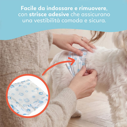 AqpetFriends Nappy Slips Pannolini Assorbenti a Fascia per Cani Maschi 36 Pz