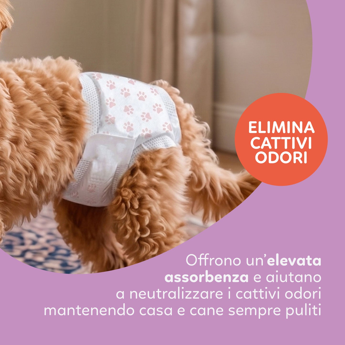 AqpetFriends Nappy Panties Pannolini Assorbenti a Mutandina per Cani 30 pz