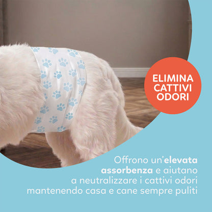 AqpetFriends Nappy Slips Pannolini Assorbenti a Fascia per Cani Maschi 36 Pz