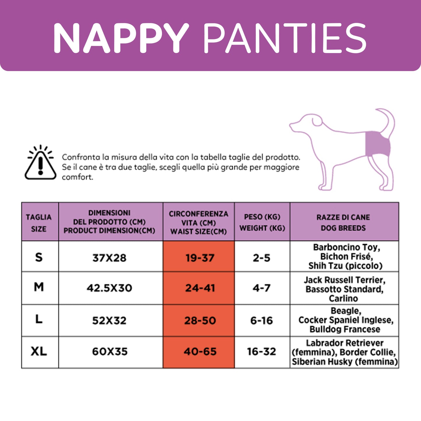 AqpetFriends Nappy Panties Pannolini Assorbenti a Mutandina per Cani 30 pz