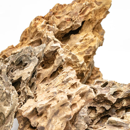 Aqpet Zen Stone Dragon Roccia Naturale Per Arredo In Acquario