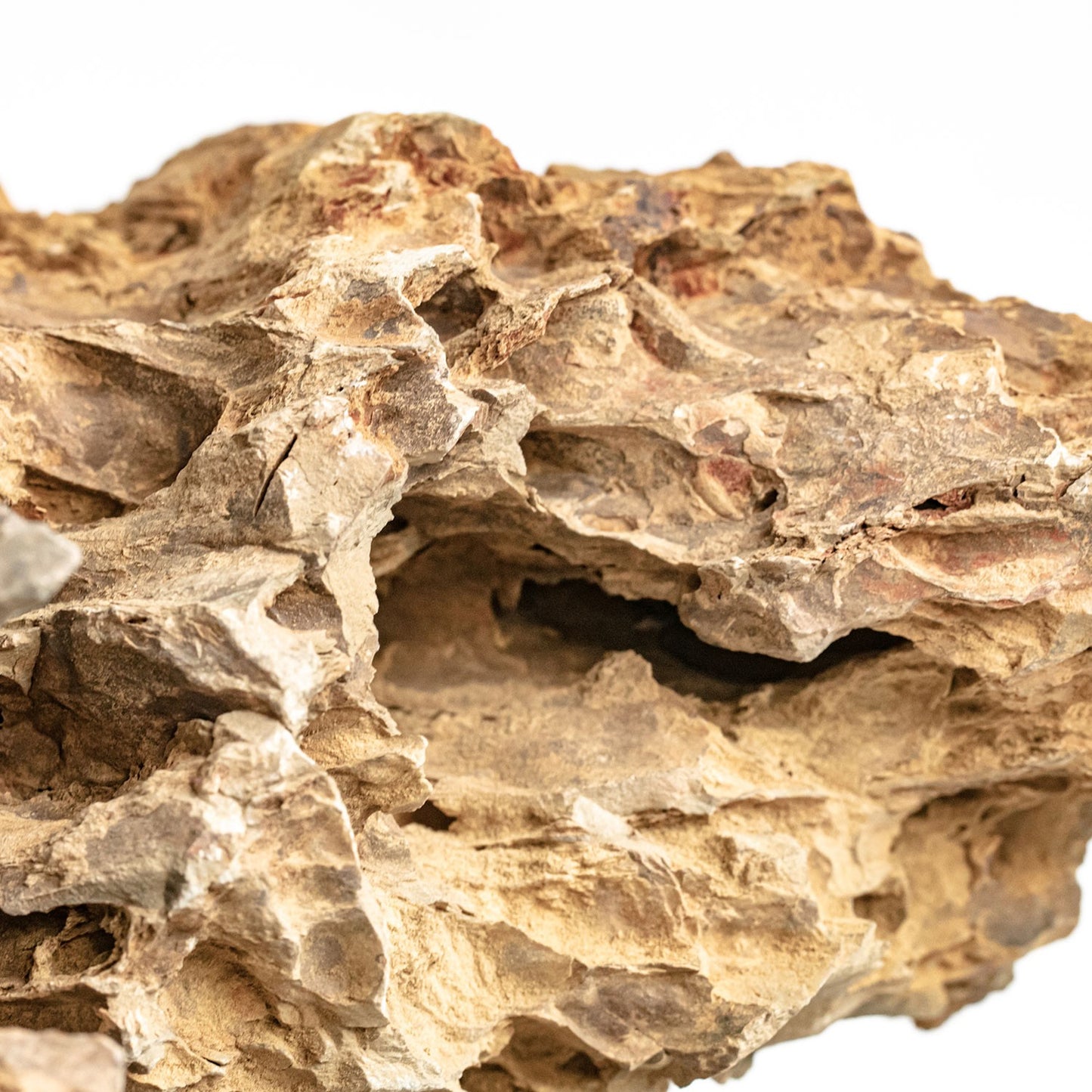 Aqpet Zen Stone Dragon Roccia Naturale Per Arredo In Acquario